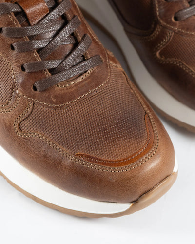 Meridiano Casual Miel y Nubuck - empaque premium envio gratis Colombia